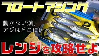 【アジング・フロートアジング】アジの居場所を探せ！(ボトム攻略)＜大阪湾釣り＞