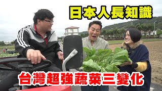 【精華版】日本人長知識！台灣超強蔬菜三變化