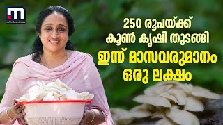 250 രൂപയ്ക്ക് കൂണ്‍ കൃഷി തുടങ്ങി, ഇന്ന് മാസവരുമാനം ഒരുലക്ഷം | Shiji Thankachan | SHECAN | Coonfresh