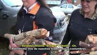 CHOLILA - CHUBUT: Familia Espinoza - Rivera: Enero Veranada 3