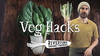 Swiss Chard | Braised Chard with Garlic | VEG HACKS