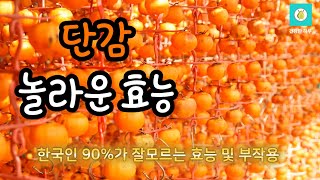 단감 놀라운 효능 및 부작용 #건강 #단감