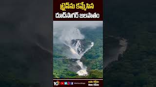 ట్రైన్‌ను కమ్మేసిన దూద్‌సాగర్ జలపాతం | Beauty of Dudhsagar Water Falls  | #shorts | 10TV