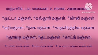 மஞ்சளின் மகிமை ( பித்த வெடிப்பிற்கு மஞ்சளை வைத்து என்ன செய்ய வேண்டும் என்று தெரியுமா? )