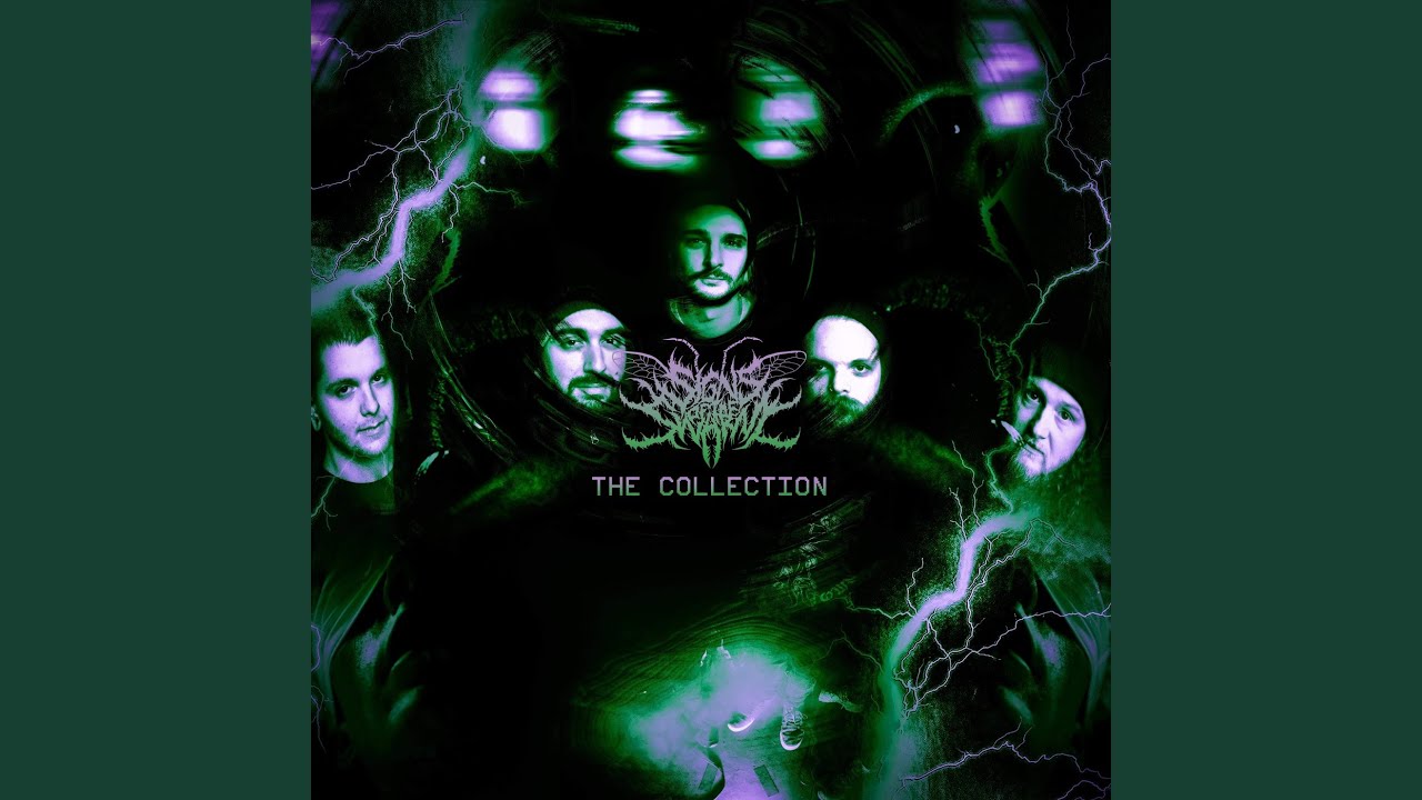 The Collection Youtube Music