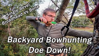 Backyard Bowhunting, Single Bevel Broadhead Breaks Bone. Virginia Deer Hunting. VPA Omega Review