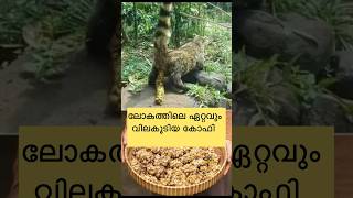 ലോകത്തിലെ ഏറ്റവും വിലകൂടിയ കോഫി || Most expensive coffee in the world || Kopi luwak @L4QUIZ #fact