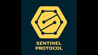 [소소 비트코인]Sentinel Protocol 해킹을 막을 방법 생기나?