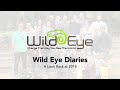 Wild Eye Diaries – A Look Back at 2018