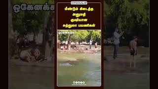 மீண்டும் கிடைத்த அனுமதி குஷியான சுற்றுலா பயணிகள்