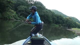 【相模湖】ポッパーを使った秋山川上流攻略