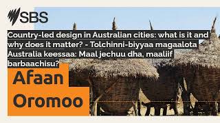 Country-led design in Australian cities: what is it and why does it matter? - Tolchinni-biyyaa...