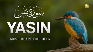 World's most stunning recitation of Surah Yasin (Yaseen) سورة يس | Zikrullah TV