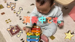 【音楽】鉄琴で演奏する僕。【生後8ヶ月】