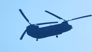 陸上自衛隊 大型輸送ヘリコプター チヌーク Boeing CH-47JA Chinook 小牧基地 2021.4.20