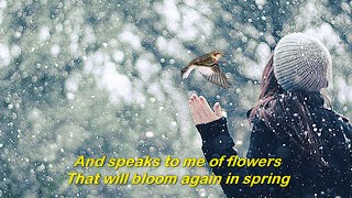 Snowbird  (1969)  -  ANNE MURRAY  -  Lyrics
