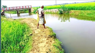 চাচার নেশা নদীতে ঝাঁকি জাল দিয়ে মাছ ধরার||Uncle's intoxication is fishing with a shake net in the