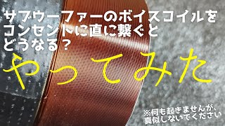 【オチ無し】サブウーファーのボイスコイルにコンセントを直接繋いだらどうなるか 何も起きません。AC100V/60hz Flex