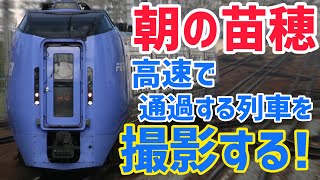 【日常鉄】朝の苗穂駅を通過する列車を撮る