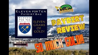 Gold Nuggets For Sale 11 for 10 Paydirt Review