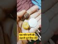 एक पति पत्नी की कहानी सुने बिना रोये❤️🙏🏻🙏🏻shortsfeed shortsvideo viralvideo