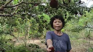 Kisah Ambil Buah Rambutan Di Kebun Sepupu Saya//Terima Kasih Dah Kongsi Rezeki