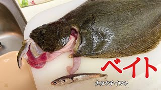 【サーフヒラメ】鹿島灘サーフ。軽バン車中泊釣行（一泊二日