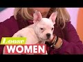 Adorable Deaf Puppy Ernie Joins Linda On The Panel | Loose Women