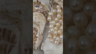 This is how pearls are made. #scientificwonders #naturedocumentary #science #ourearth #thewonders