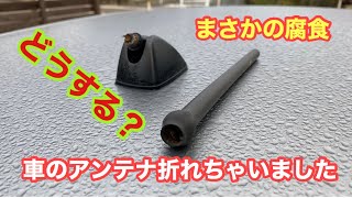 【カーアンテナ】車のアンテナ折れちゃいました！