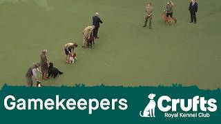 Gamekeepers Competition Final | Crufts 2026