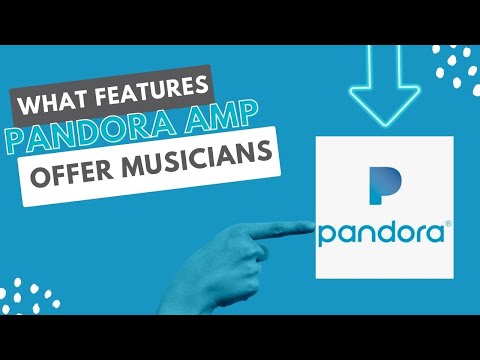 What features Pandora AMP offers musicians