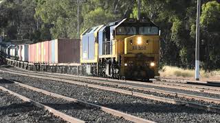 XR558-BL32 on 7901V at Dunolly.   11-12-21.