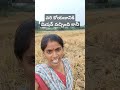 వరి కోయడానికి మిషన్ వచ్చింది కానీ trdingshorts agriculture viralvideo