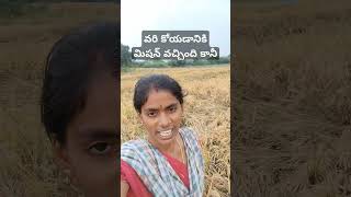 వరి కోయడానికి మిషన్ వచ్చింది కానీ #trdingshorts #agriculture #viralvideo