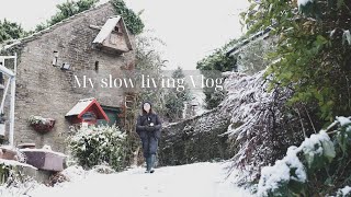 Our slow living country life #34 Beautiful snowy English countryside/ honey hunt/ Baking fluffy cake