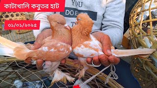 কাটাখালি কবুতর হাট।৩১/০১/২০২৫।Katakhali kobutor hat।রাজশাহী গিরিবাজ।হাত বাজির কবুতর।Rajshahi giribaj