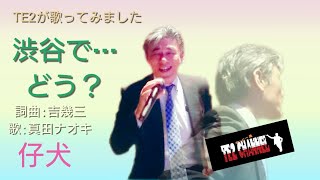 渋谷で・・・どう？／仔犬（真田ナオキ）Cover by TE2