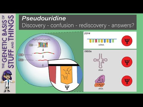 What is Pseudouracil?