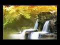 1 Wakati ti Music lati iwadi, fojusi, iṣẹ, ọfiisi, ifọwọra, isinmi, wahala ni arowoto