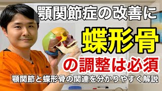 顎関節症に蝶形骨の調整は必須　顎関節と蝶形骨の関係【府中　顎関節症】