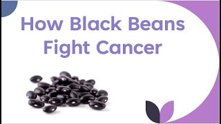 How Black Beans Fight Cancer