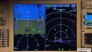 767 Large Display System TCAS Test