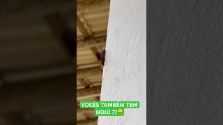 VOCÊS TAMBÉM TEM NOJO 🤮 #shortvideo #shorts #youtubeshorts