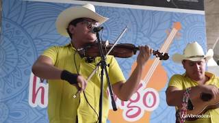 El Trio Ocelote del Potosí toca "La Petenera" y "El Ranchero Potosino" en Venga a Bailar Huapango