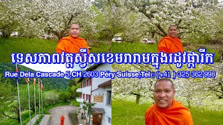 ទិដ្ឋភាពនិងទេសភាពបរិវេណវត្តស្វីសខេមរារាមក្នុងរដូវផ្ការីក