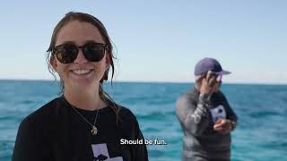 What Does it Take to Restore a Reef?