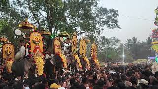 Akkikkavu Pooram  #raman #theking #thechikottukavu_ramachandran #pooram2024