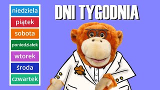 Dni tygodnia - Piosenka dla dzieci | Profesor Szymon