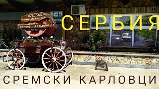 АЛЬТЕРНАТИВА БОЛЬШИМ ГОРОДАМ  СЕРБИИ// СРЕМСКИ КАРЛОВЦИ